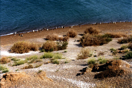 u07.jpg (58524 bytes)