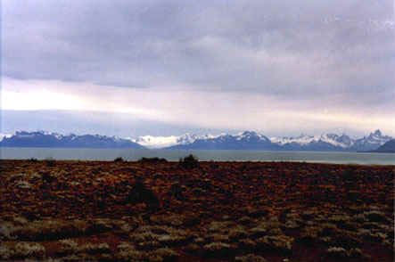 u16a.jpg (34672 bytes)