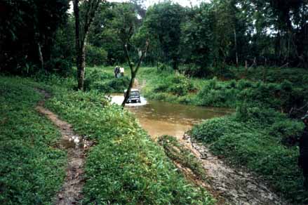 ariri036.jpg (59850 bytes)