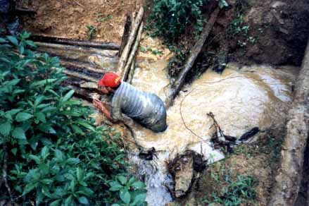 ariri056.jpg (66438 bytes)